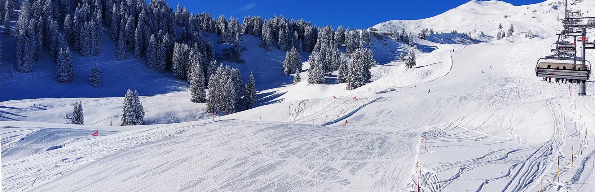 Start Carving 2h<br> Beginner & Advanced